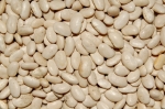 Background Texture of White Beans