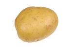 A Golden Potato Isolated on White